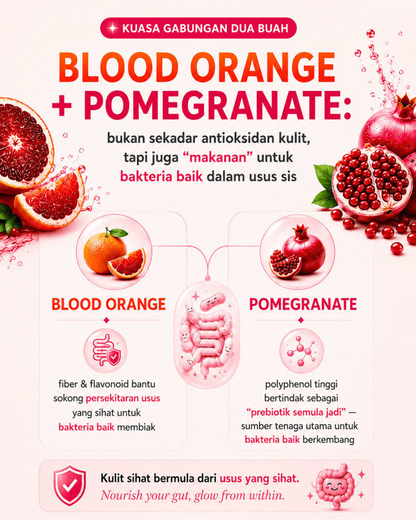 Infografik gabungan blood orange dan delima sebagai sumber prebiotik